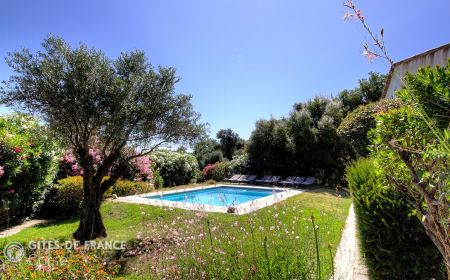 Gite n &deg;60501 Montegrosso - Corse - G&icirc;te &agrave; Montegrosso, Balagne, Haute-Corse, labellis&eacute; G&icirc;tes de France : le jardin et la piscine