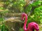 vakantiewoning - Un Joli Coin de Paradis 2 - CALCATOGGIO - Corse
