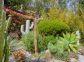 Chambres d'h&ocirc;tes &agrave; Favone, Corse-du-Sud, labellis&eacute;es G&icirc;tes de France : le jardin de Cact&eacute;s