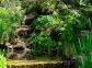 Gite-26702-calcatoggio-c&ocirc;te-ouest-labellis&eacute;-gite-de-france-le jardin paysager