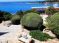 Location G&icirc;te 20231 &agrave; Tizzano en Corse du Sud  : Vue sur les ext&eacute;rieurs enti&egrave;rement r&eacute;serv&eacute;s &agrave; la location.